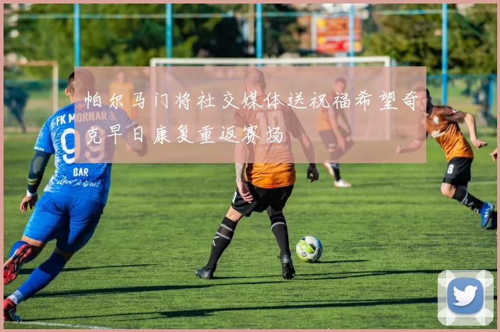 帕尔马门将社交媒体送祝福希望奇克早日康复重返赛场